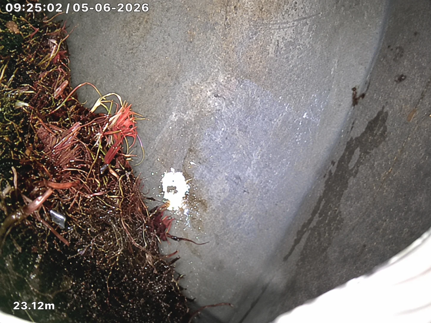 CCTV drain camera footage showing a tree root mat inside a Gold Coast sewer pipe at 23 metres